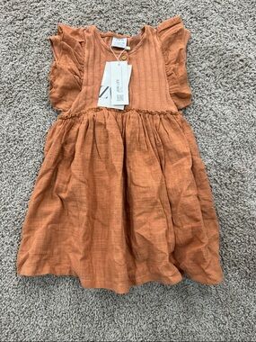 Zara Kids Burnt Orange Ruffle Sleeve Dress